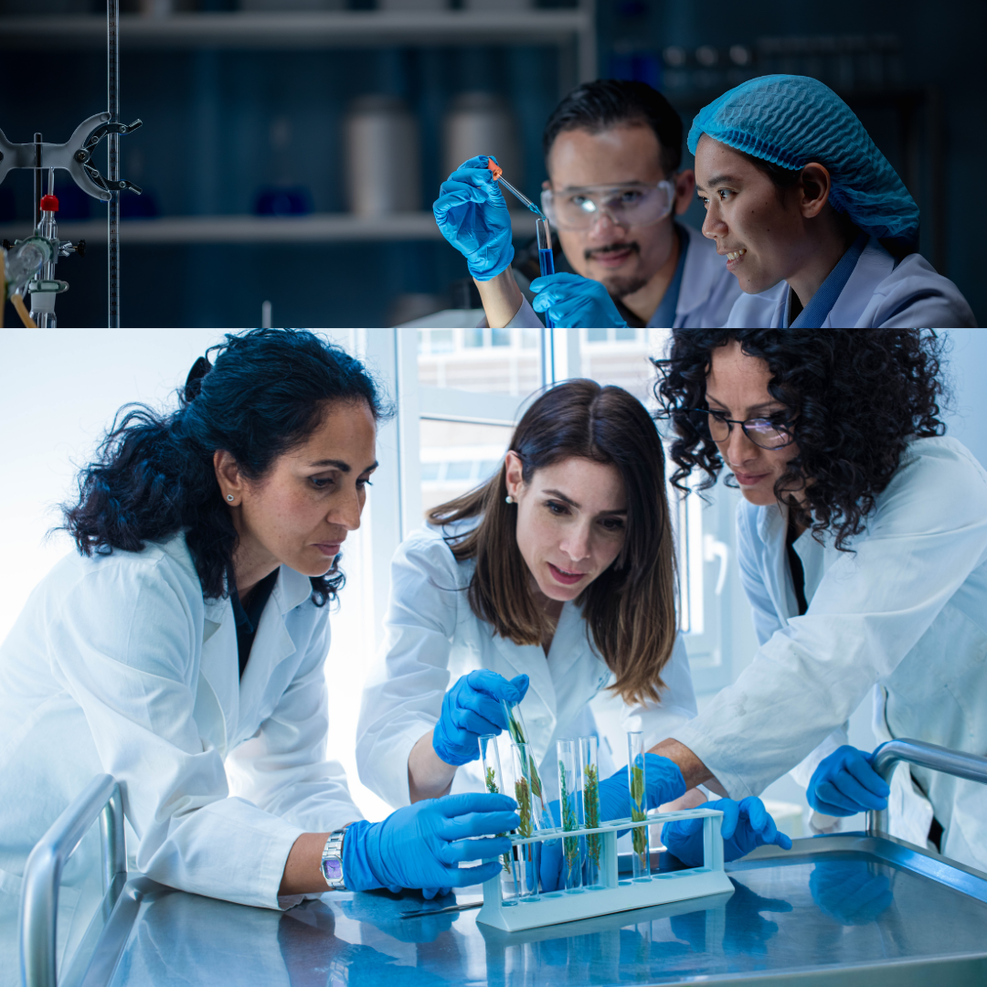 Chemical lab quality testing